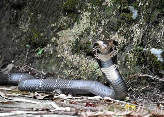 ̨��̨�����������۾���ҧ����ָ��ɥ��