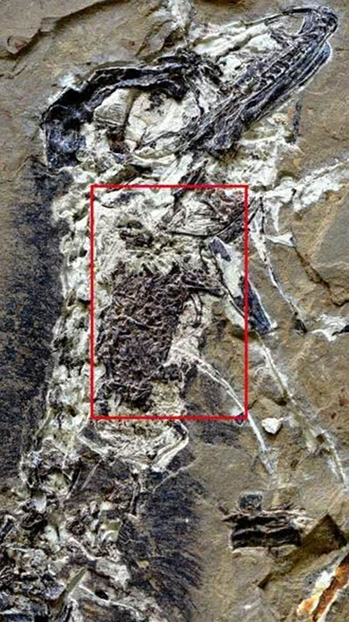 ʳڵʳţZheng et al., 2018