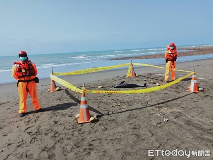 ̨����԰�������������Ű��ʷ��ֱ����ࡰխ�����ࡱ����