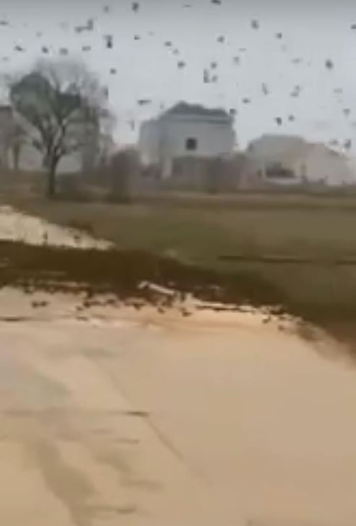 ����ʡ۶��������ǰ����֡�ȸ�������� ����ֻ��ȸ�γɡ���ǽ�����ڴ�ׯ�����·��