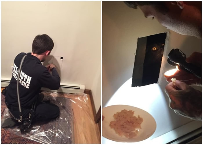 ݷé˹һֻèܽǽ Աʳè