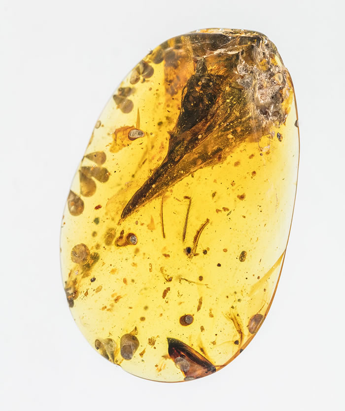 ѼͷСĿNature24СʱɣС