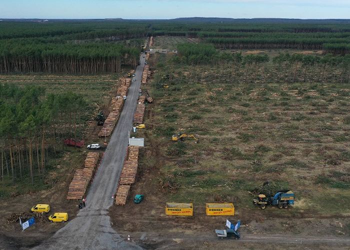 急速城市化及伐林令新冠肺炎等人畜共通病传播的风险大增