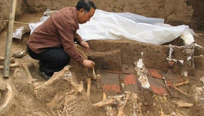 �й���һ��Ĺ������������Ĺ����7�׶�����ɳ 80��Ĺ����������