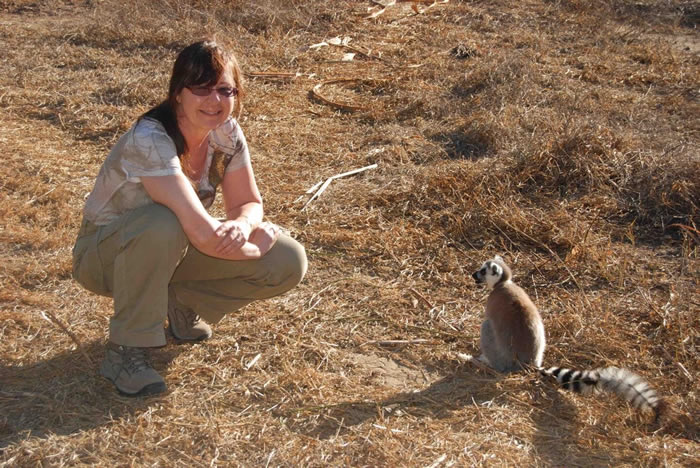 《保护遗传学》:马达加斯加野猫是千年前阿拉伯航海者所带“船猫”的后代
