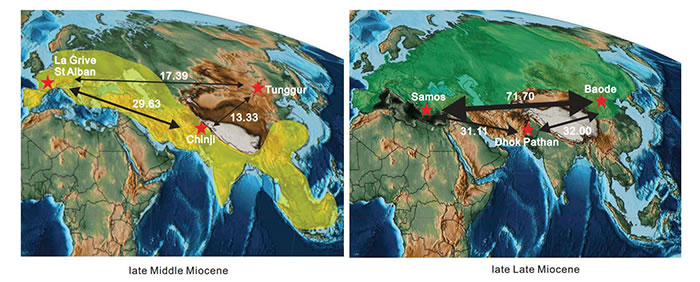 中中新世和晚中新世欧洲,南亚和东亚食肉目群落对比。Czekanowski指数越高代表相似性越高