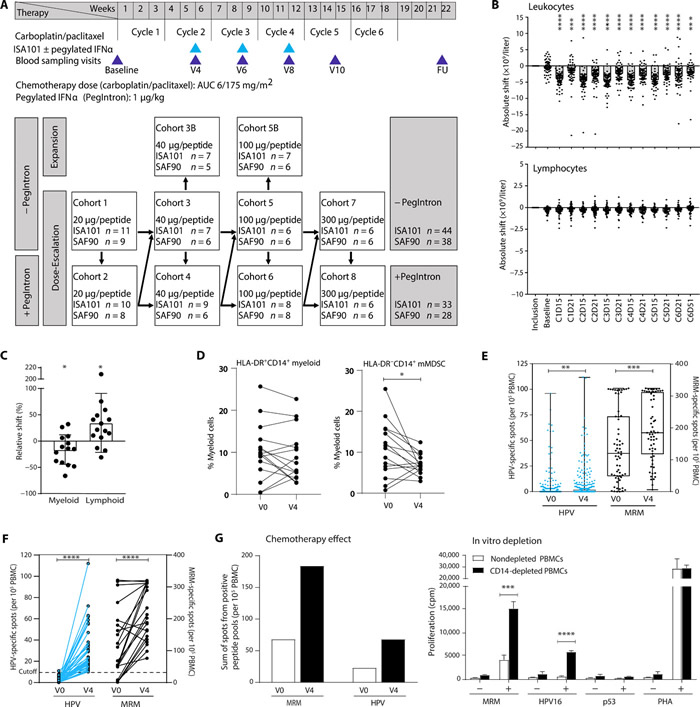 ������HPV�������׼����ҩ������ʹ�û��ӳ����ڡ������Թ���������������