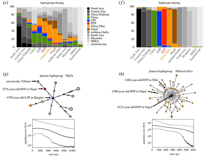 青藏高原古代和现今生活的人群之间的遗传关系分析。(a). 青藏高原古样本遗址分布 (b). 基于遗传距离的MDS可视化分析 (c). 单倍群相关分析 (d).