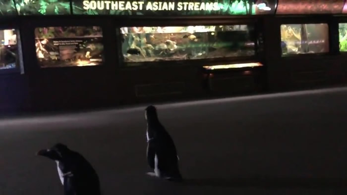 ����֥�Ӹ��л��ˮ����������򸾴�ҡ��ڵ����� �������龰�ȷ�����