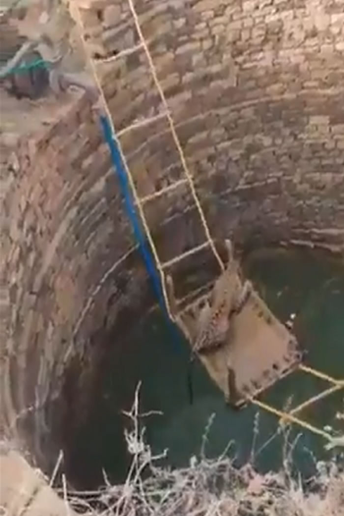 ӡ�������Ϧ���������ޱ��������Ⱥ� ��Ԯ��Ա��Ķ���