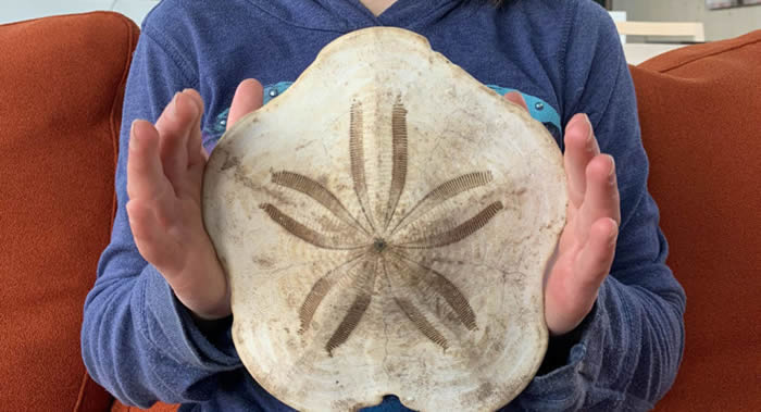 ���ô�Ů����ī��������ʱ���ֱ�����˹�����¼�϶�����������ƽ�ܺ���