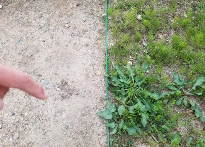 ӲȫսձСк4Գ̤Ƴɹ