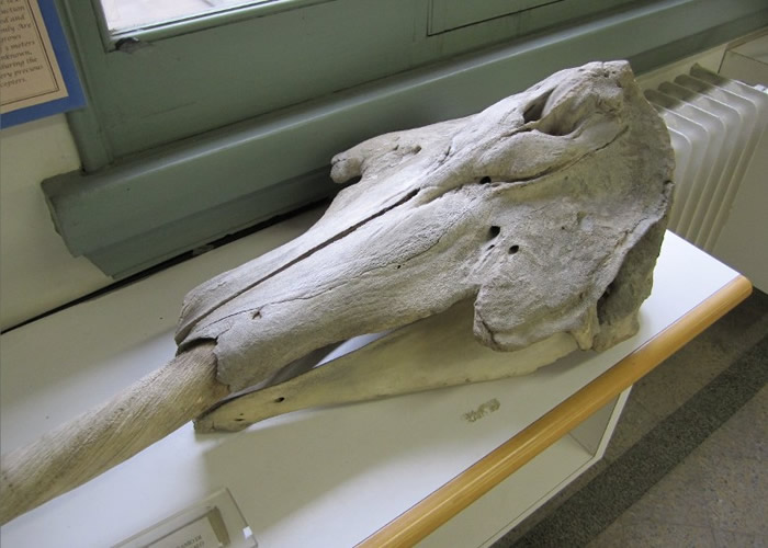 ������ѧ���о��������Զ��Ǿ��ĳ�������������ͬ����������