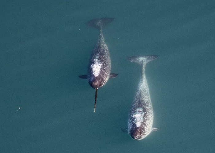 ������ѧ���о��������Զ��Ǿ��ĳ�������������ͬ����������