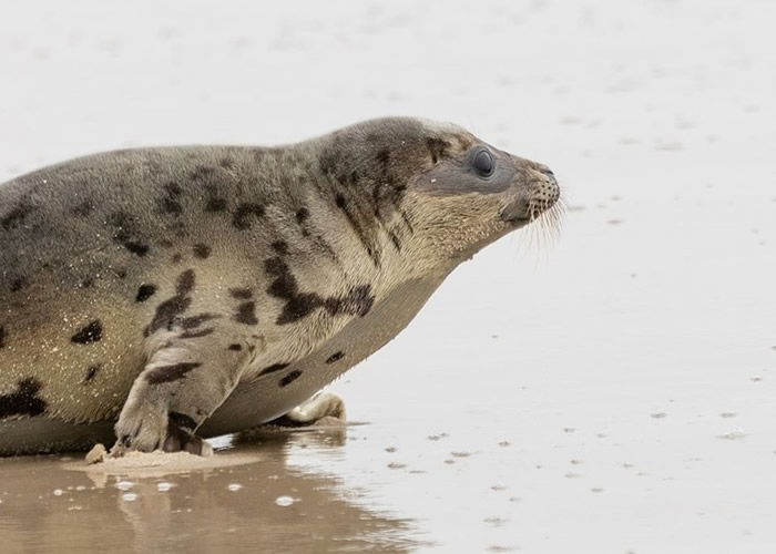 ��������������ɭ�İͶ���Ħ����ˮ���������ˮ����Ȭ�� ��Ź��