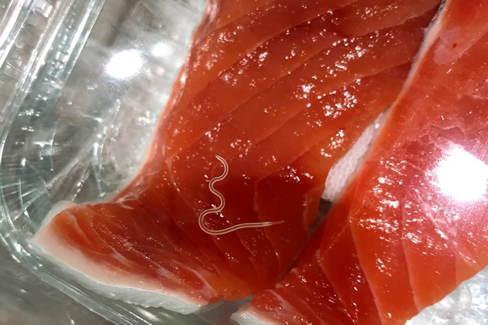 ��Global Change Biology�������о�������˾ʳ���еļ�����桰����߳桱���������