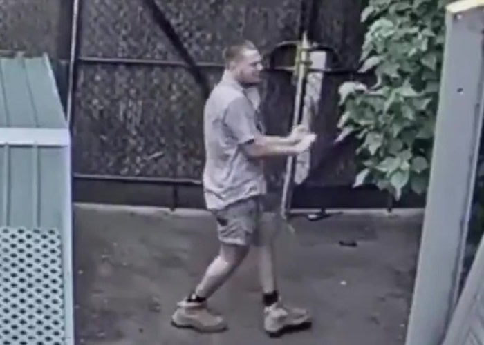 澳洲网民通过网上直播想看墨尔本动物园长颈鹿 看到的却是跳舞的管理员大叔