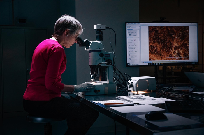 调查员阿比盖尔. 匡特(Abigail Quandt)是巴尔迪摩华特斯美术馆的书籍与纸张保存主任,她正在检视一片《创世纪》碎片,以寻找特殊的表面特征。 「我们的