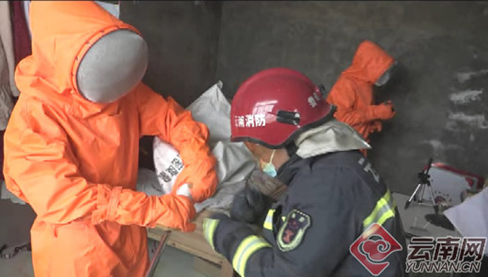 消防员全副武装抓蝙蝠。(图/翻摄自云南网)