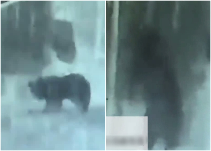 �ܳ�ûע�⣡����ʡ������Ұ�����ܴ�ũ���Լ�