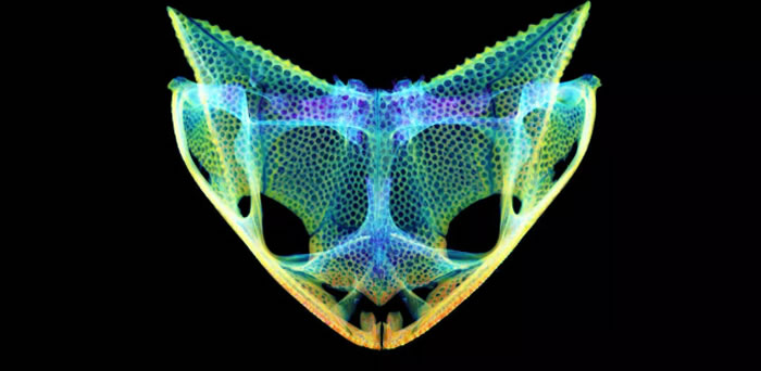 ���ܽ��������м��䲻Ѱ����ͷ��