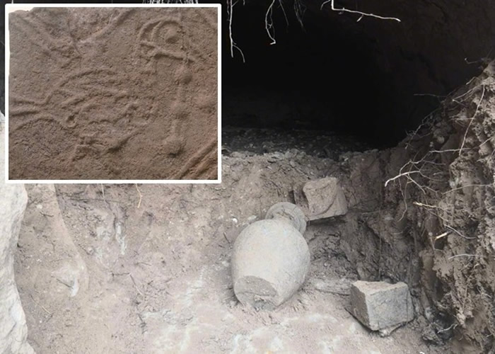 �Ĵ�ʡ�������칬�����´巢��7����Ĺ �����ж����ϱ���Ĺ��