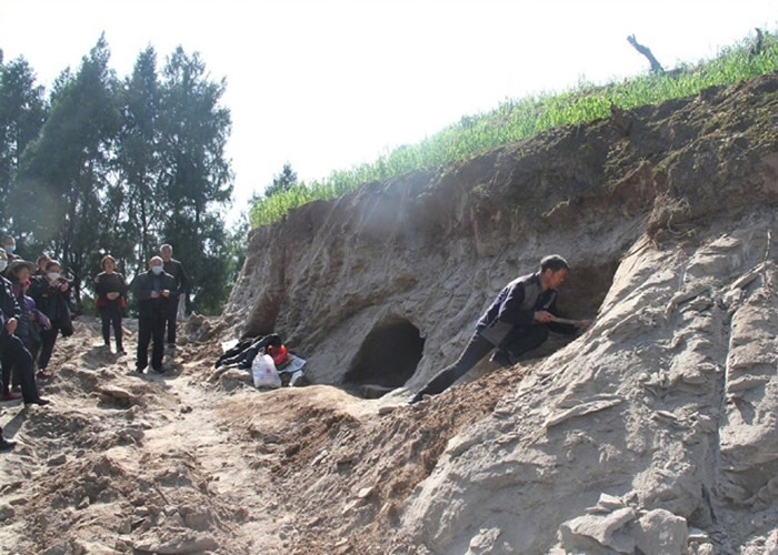 �Ĵ�ʡ�������칬�����´巢��7����Ĺ �����ж����ϱ���Ĺ��