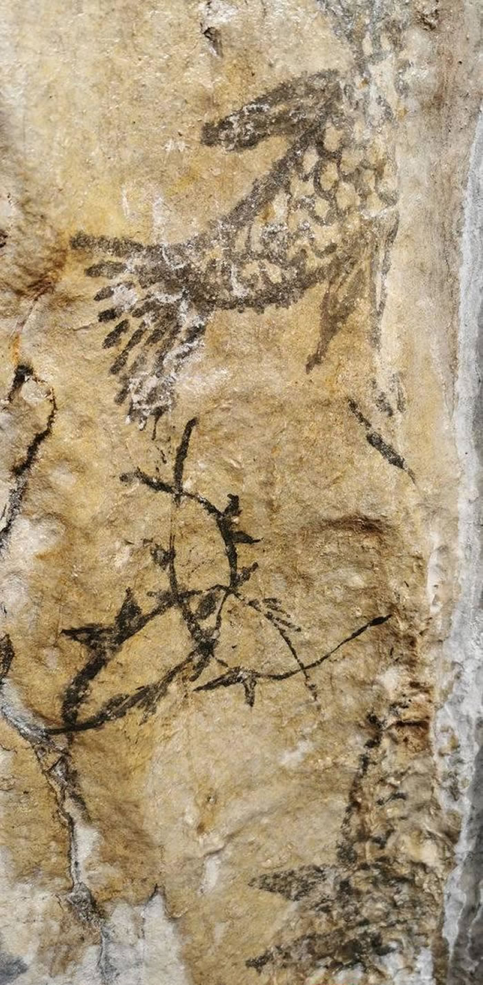 四川泸州古蔺“三鱼洞”发现古岩画及化石