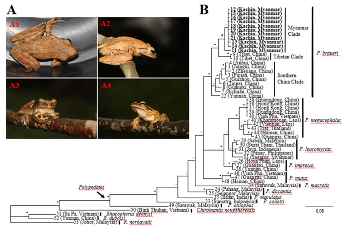 �п�Ժ���������о����붫�������ĵĿ�����Ա������3������������¼�¼