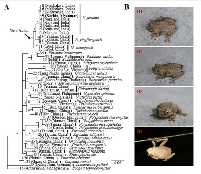 ���Ϸ����ܡ�ӡ��������ܺ;������