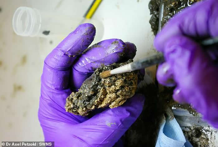 ����ѧ����Ϊ������ǰ��δ�еĴ��Ա���״������ڽ������ۺ��壨aggregates�����Ľ����۵������ʴء�