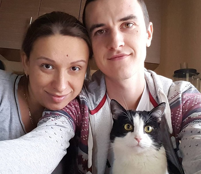 白俄罗斯搞笑肥猫Pusic“穿墙”实验 打破“头过身就过”传说