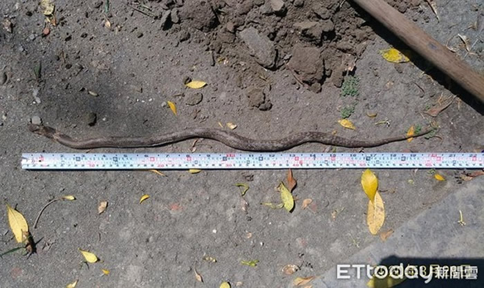 ̨������С�ڹ�����ҧ�������۾���