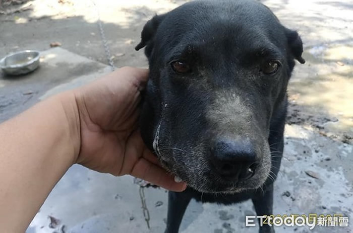 С�ڵ���Ҳ��ҧ��һ�£�����Ұ�߲��ݳ�������