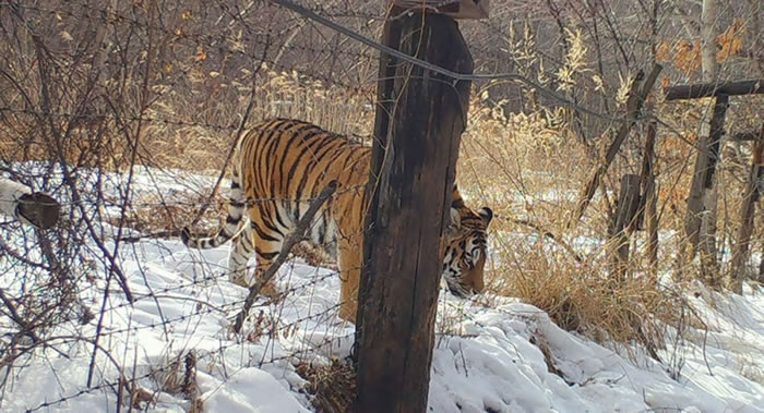 ����˹�����߽����ϻ����衰����Υ�������ƶȡ������޵��й�