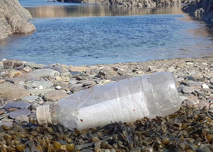 �¹�Ư��ƿ�ں���Ư��19�� ��������������Ѱ������