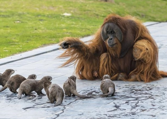 ʱö԰ëɼͥСצˮ̡һҺгദ