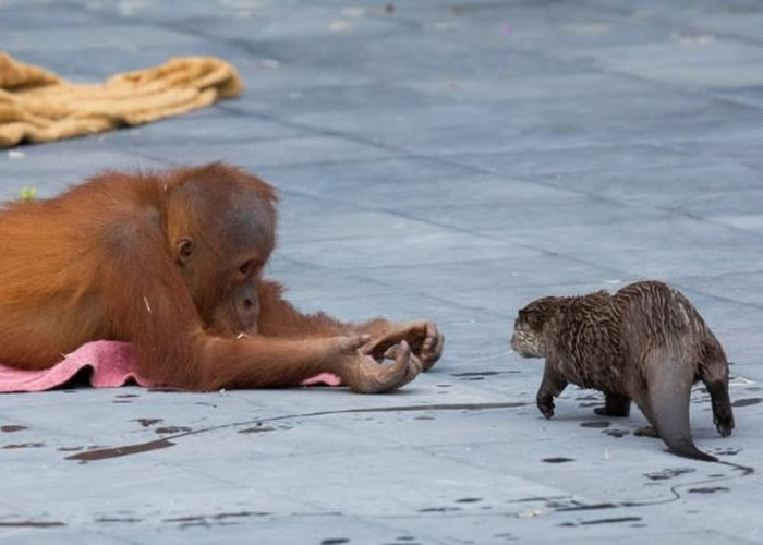 ʱö԰ëɼͥСצˮ̡һҺгദ