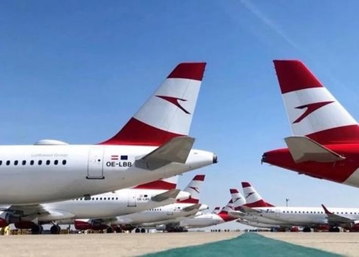 άҲɻͣƺͣ˰µյĺࡣ