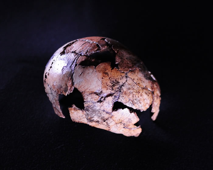 ��������ǰ�Ϸ���Գ����������������ֱ����ͬʱ�������ϷǵĿ�˹�ص�ò��