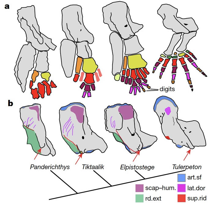 �������ֽ������������Ǿ�����ʲô����ѧ���ҵ������½�����еĹؼ���ʯ����ϣ���