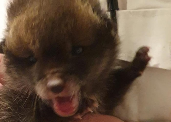 Ӣ�����̹����¡����˹��� �ؼ����ž�����С����