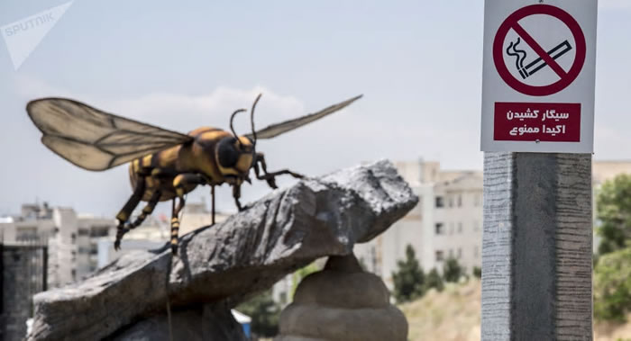 ȻͨѶ־ĳϸſͨӴɱϸ׽ṹ