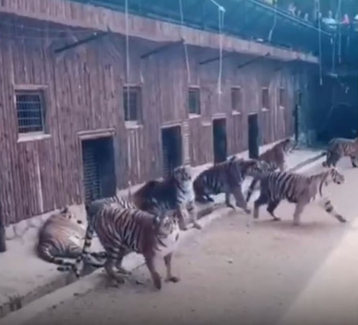 ʡҰ԰ϻԷĿʹ ԰̬ȡ