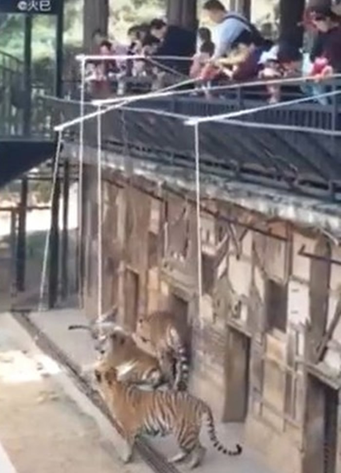 ʡҰ԰ϻԷĿʹ ԰̬ȡ