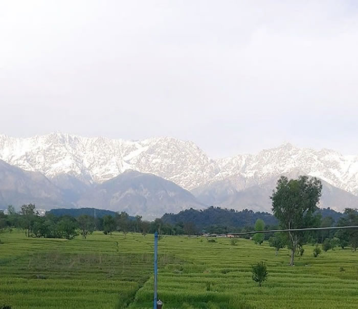 《无聊的熊猫》网站:印度旁遮普省居民30年来首次在四月初看到喜马拉雅山脉