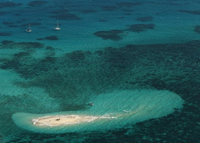 澳洲昆士兰省男子在大堡礁西北岛海域工作期间遇鲨鱼袭击伤重不治