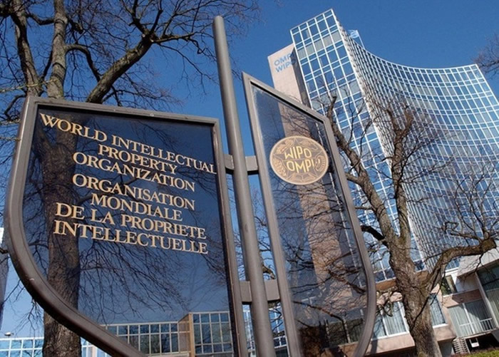 世界知识产权组织(WIPO):中国首次超过美国成为全球国际专利申请最多的国家