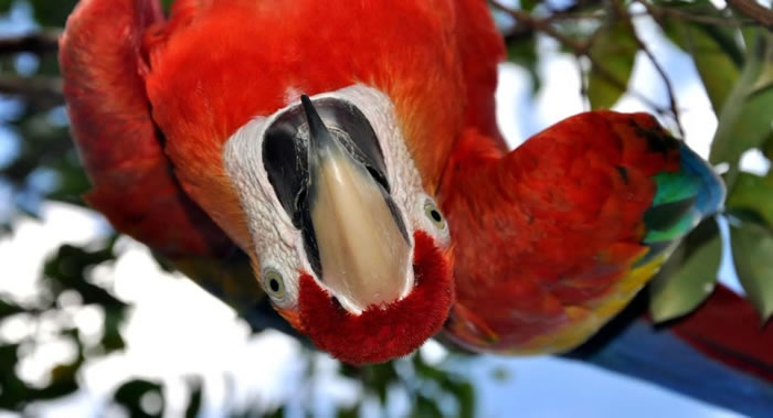 ���ʿ�ѧ���Ŷ�Ԥ��������2030���������Ķ����ԾͻῪʼ����