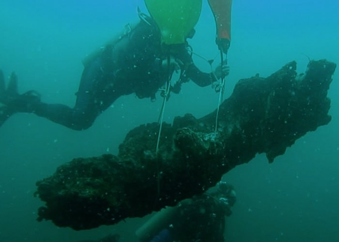 美国亚拉巴马州6万年前森林遗址木头上的船蠹发现新品种细菌 助研抗生素